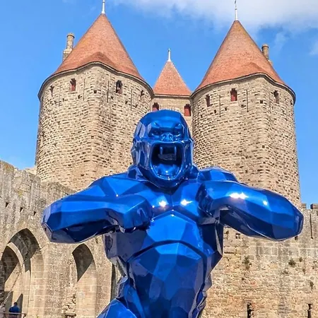 La Belle Etape A Apartment Carcassonne